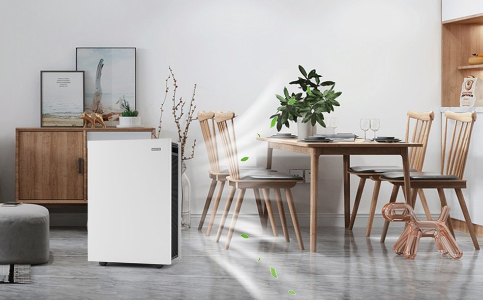 有过敏性哮喘？SG·亚洲胜游空气净化器来帮您！